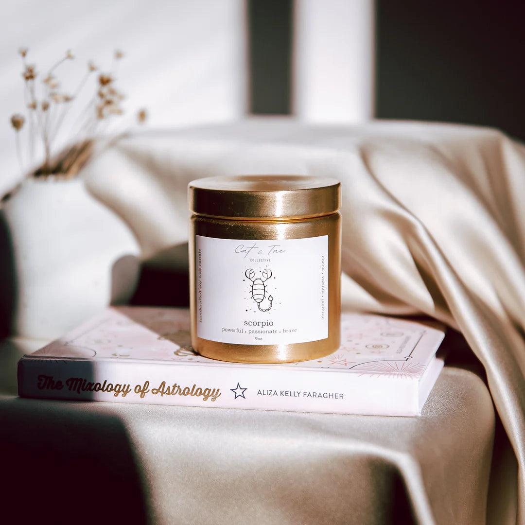 Cat and Tae zodiac candles