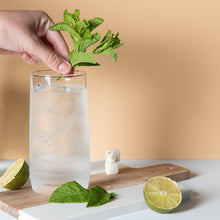 Load image into Gallery viewer, SPRING COCKTAIL KIT
